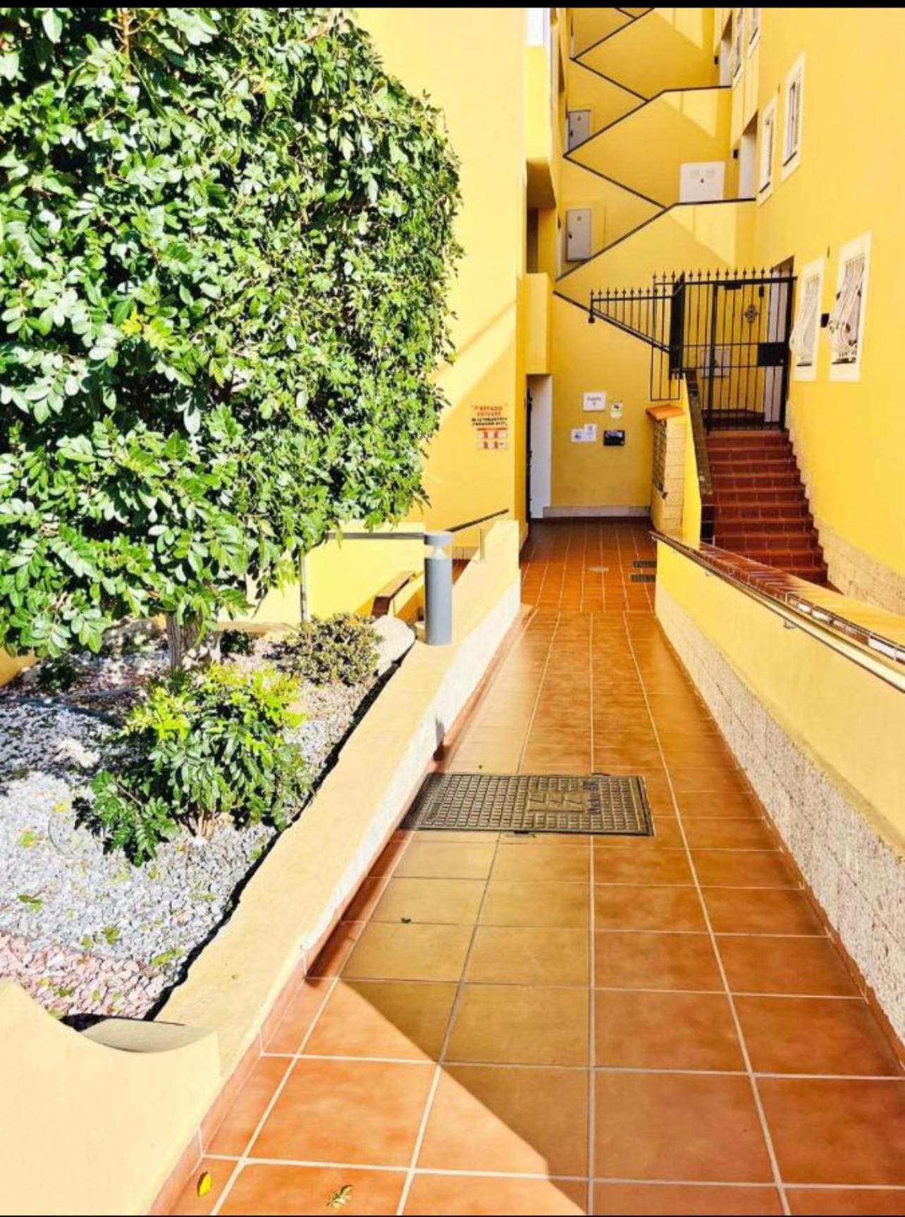 Magnolia Apartment أذيخي المظهر الخارجي الصورة